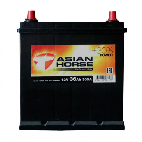 Аккумулятор Black Horse 36 Обратная (300А 127*187*225)